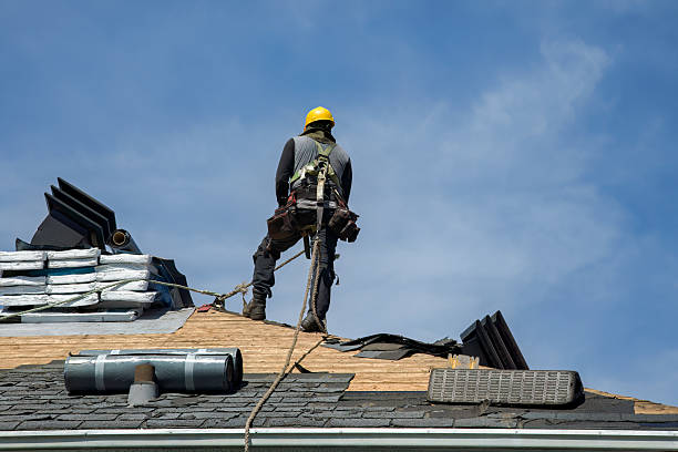 Professional Storm Damage Roof Repair technician working in Forest, MS